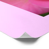 Oh, so pink! poster (Ecke)