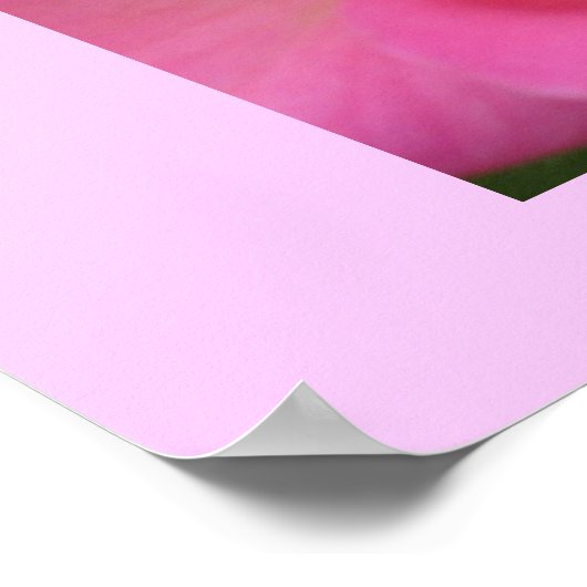 Oh, so pink! poster (Ecke)