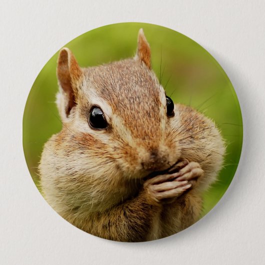 Oh so unverschämter Chipmunk-runder Knopf Button (Vorderseite)
