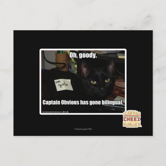 Oh, verdammt. postkarte (Vorderseite)