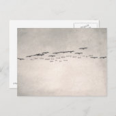 "Oh, wie They Trust" Postkarte (Vorne/Hinten)