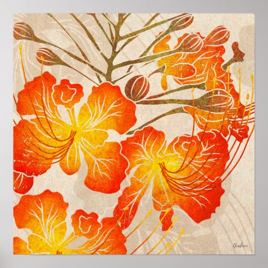 Ohai Alii 2 Poster (Vorne)