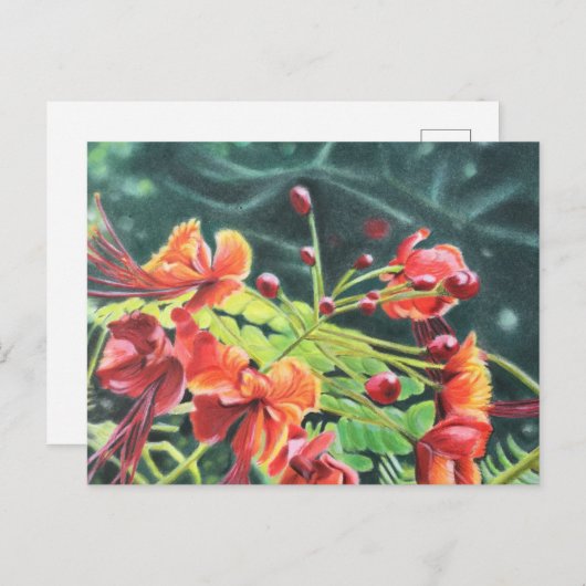 Ohai Alii Postkarte (Vorne/Hinten)