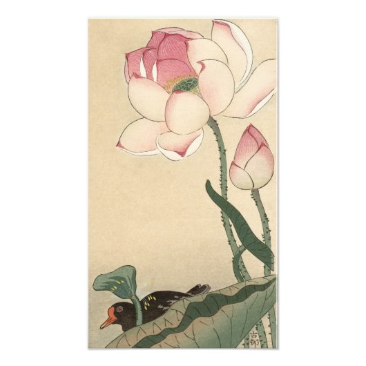Ohara Koson, Lotus Blume - Japanische Kunst Fotodruck (Vorne)