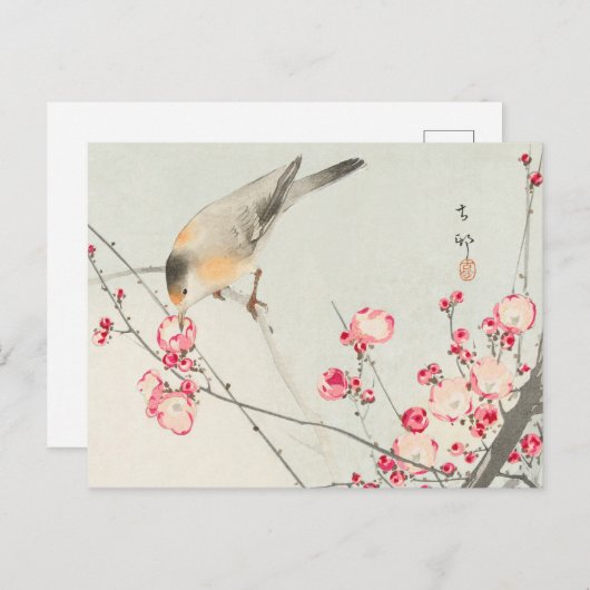 ohara koson's Japanese painting postcard,小原古邨の日本画 Postkarte (Vorne/Hinten)