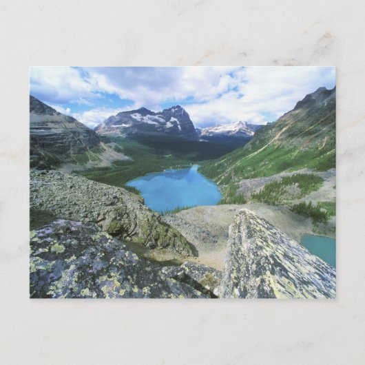 O'Hara-See, Yoho NP, BC, Kanada Postkarte (Vorderseite)