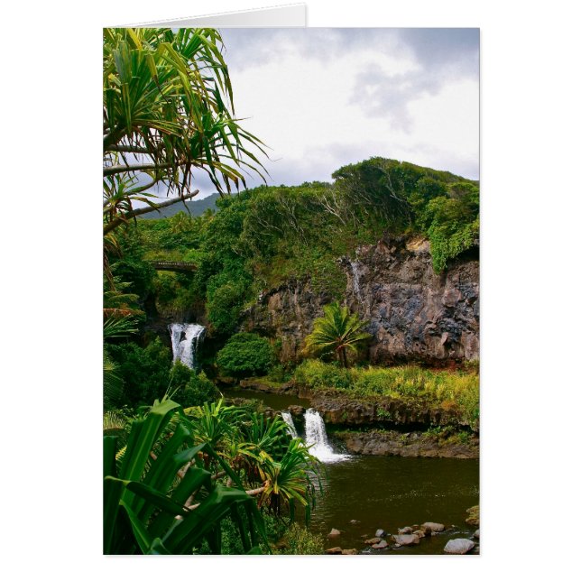 O'heo Gulch Pools, Maui (Vorne)