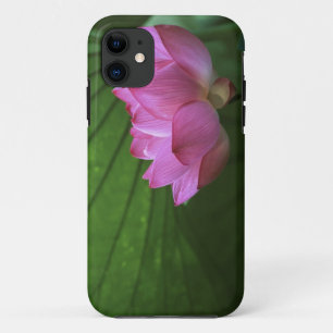 Ohga-Lotus, Sankei-en-Garten, Yokohama, Japan Case-Mate iPhone Hülle