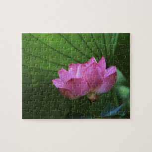 Ohga-Lotus, Sankei-en-Garten, Yokohama, Japan Puzzle
