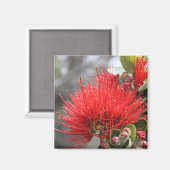 Ohia Lehua blossom Magnet (Vorderseite/Rückseite)