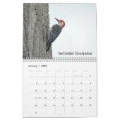 Ohio Birds im Mai Kalender (Jan 2027)
