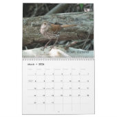 Ohio Birds im Mai Kalender (Mär 2026)