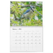 Ohio Birds im Mai Kalender (Feb 2026)