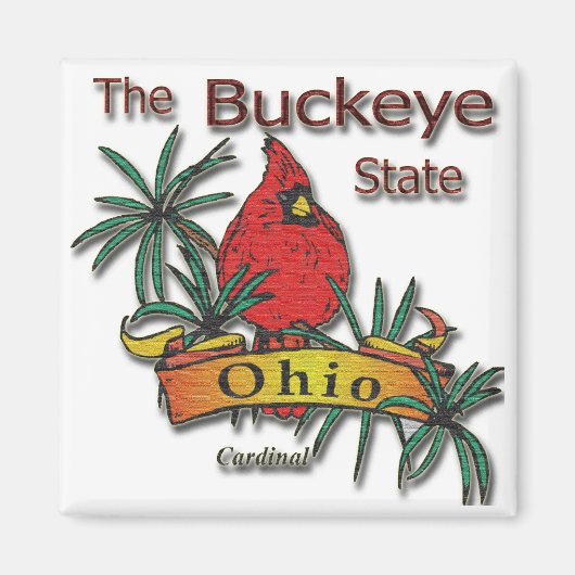 Ohio Buckeye Kardinal Magnet (Vorne)