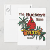 Ohio Buckeye Kardinal Postkarte (Vorne/Hinten)