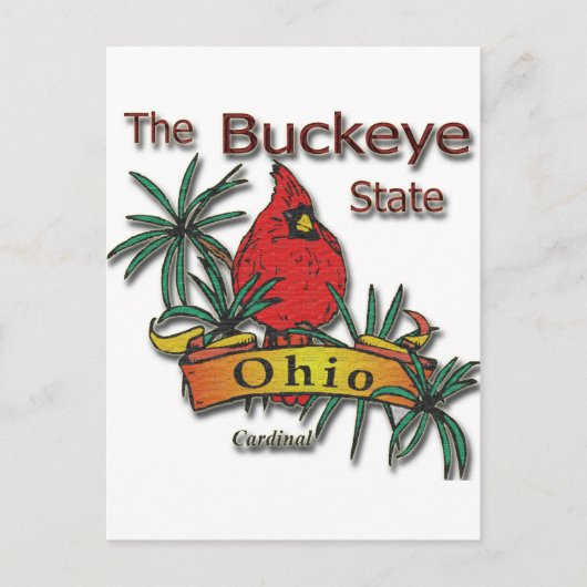 Ohio Buckeye Kardinal Postkarte (Vorderseite)