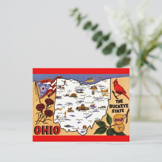 Ohio Buckeye Staat Postcard Postkarte (Stehend Vorderseite)
