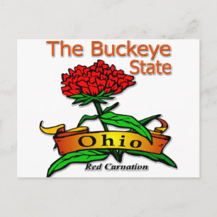 Ohio Buckeye Staat Red Carnation Postkarte