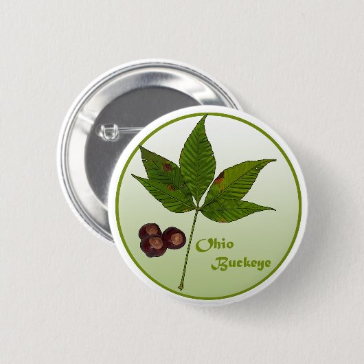 Ohio Buckeye Tree Button (Vorne & Hinten)