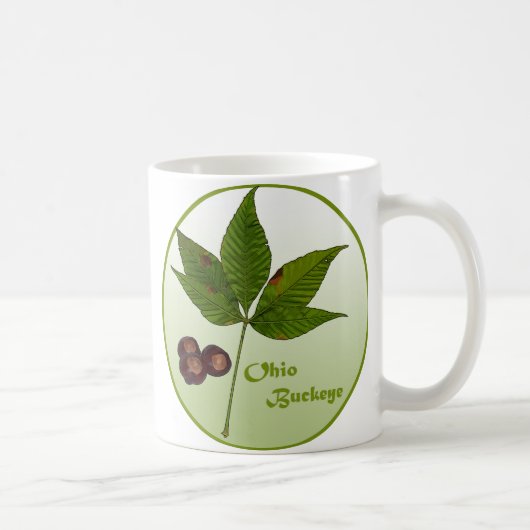 Ohio Buckeye Tree Kaffeetasse (Rechts)