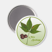 Ohio Buckeye Tree Magnet (Vorderseite/Rückseite)
