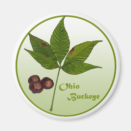 Ohio Buckeye Tree Magnet (Vorne)