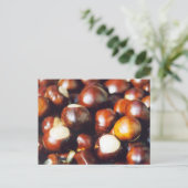 Ohio Buckeyes Postkarte (Stehend Vorderseite)