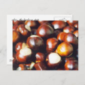 Ohio Buckeyes Postkarte (Vorne/Hinten)
