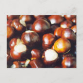 Ohio Buckeyes Postkarte (Vorderseite)