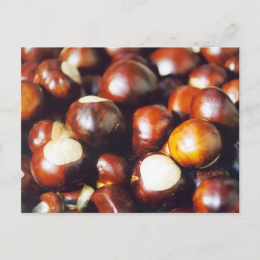 Ohio Buckeyes Postkarte (Vorderseite)