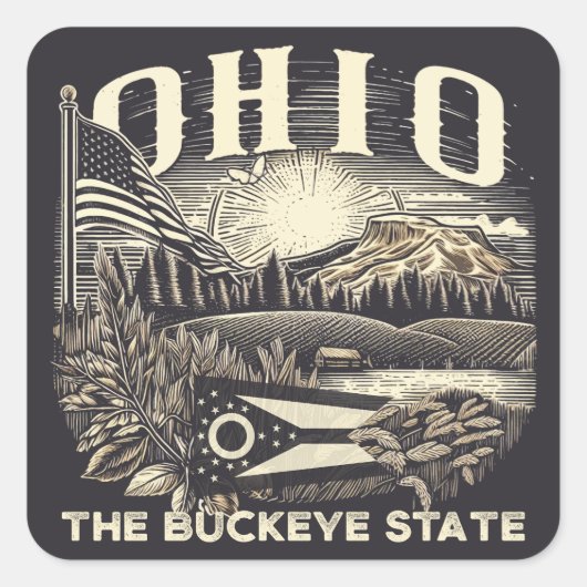 Ohio Der Buckeye-Staat Quadratischer Aufkleber (Vorderseite)