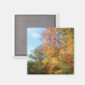 Ohio Fall 3 Magnet (Vorderseite/Rückseite)