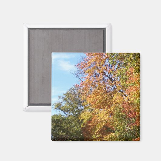 Ohio Fall 3 Magnet (Vorderseite/Rückseite)