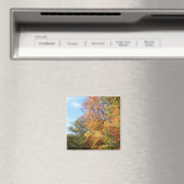 Ohio Fall 3 Magnet (In Situ (Geschirrspüler))