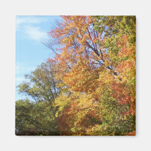 Ohio-Fall #3 Magnet