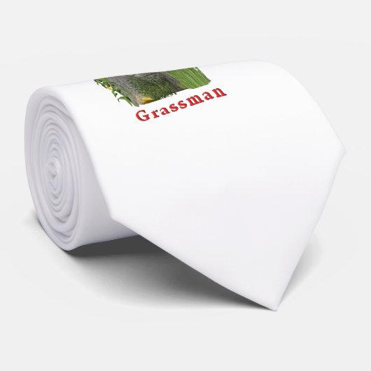 Ohio Gras Krawatte (Gerollt)