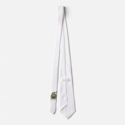 Ohio Gras Krawatte (Rückseite)