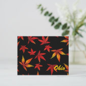 Ohio Herbstleaves Postkarte (Stehend Vorderseite)