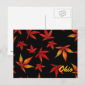 Ohio Herbstleaves Postkarte (Vorne/Hinten)