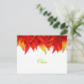 Ohio Herbstleaves Postkarte (Stehend Vorderseite)