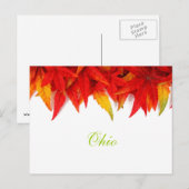 Ohio Herbstleaves Postkarte (Vorne/Hinten)