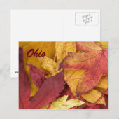 Ohio Herbstleaves Postkarte (Vorne/Hinten)
