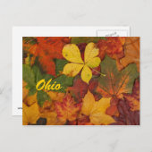 Ohio Herbstleaves Postkarte (Vorne/Hinten)