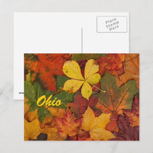 Ohio Herbstleaves Postkarte (Vorne/Hinten)