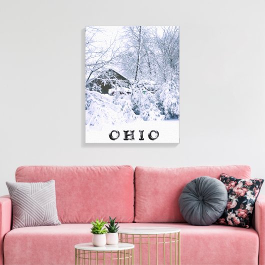 OHIO IM WINTER 2020 LEINWANDDRUCK (Insitu (Wohnzimmer))
