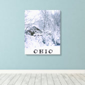 OHIO IM WINTER 2020 LEINWANDDRUCK (Insitu (Holzboden))
