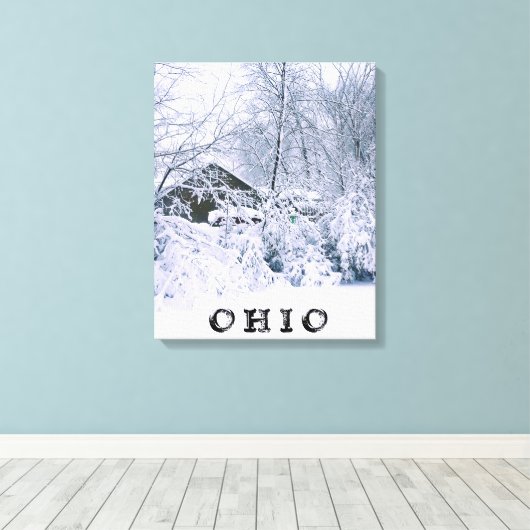 OHIO IM WINTER 2020 LEINWANDDRUCK (Insitu (Holzboden))