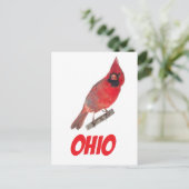 Ohio Kardinal Postkarte (Stehend Vorderseite)