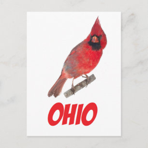 Ohio Kardinal Postkarte