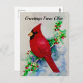 Ohio Kardinal Staat Bird Berries Postkarte (Vorne/Hinten)
